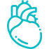 Cardiovascular Imaging